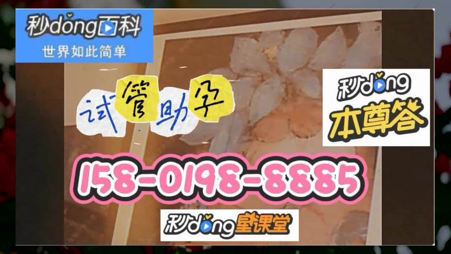 上海供卵试管价格表_上海供卵试管价格表及相关信息