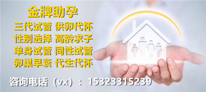 上海借卵代怀孩子(上海借卵代怀孩子:生育选择的新途径)