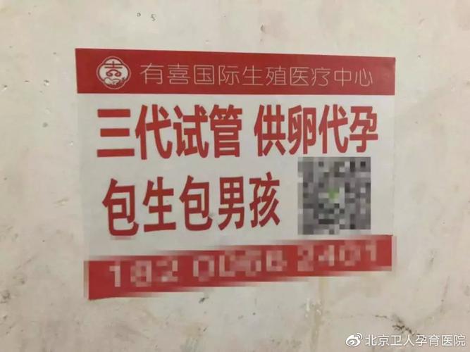 上海供卵包男孩(上海供卵包男孩：新生命的故事)